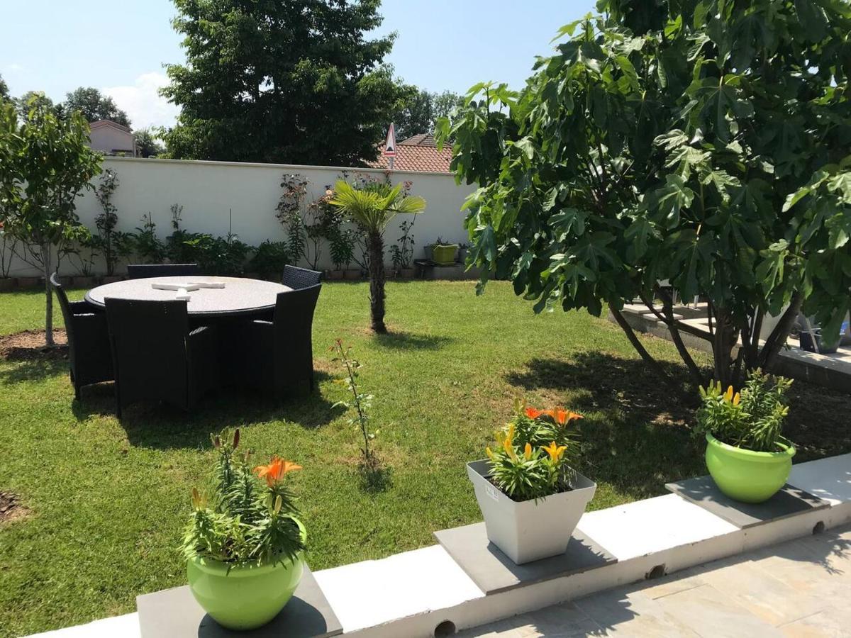 Apartment Detente A 10mn De La Gare Et Aeroport St Exupery Colombier-Saugnieu