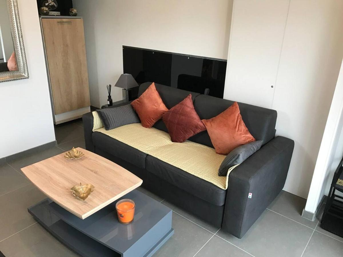 Detente A 10mn De La Gare Et Aeroport St Exupery Apartment Colombier-Saugnieu